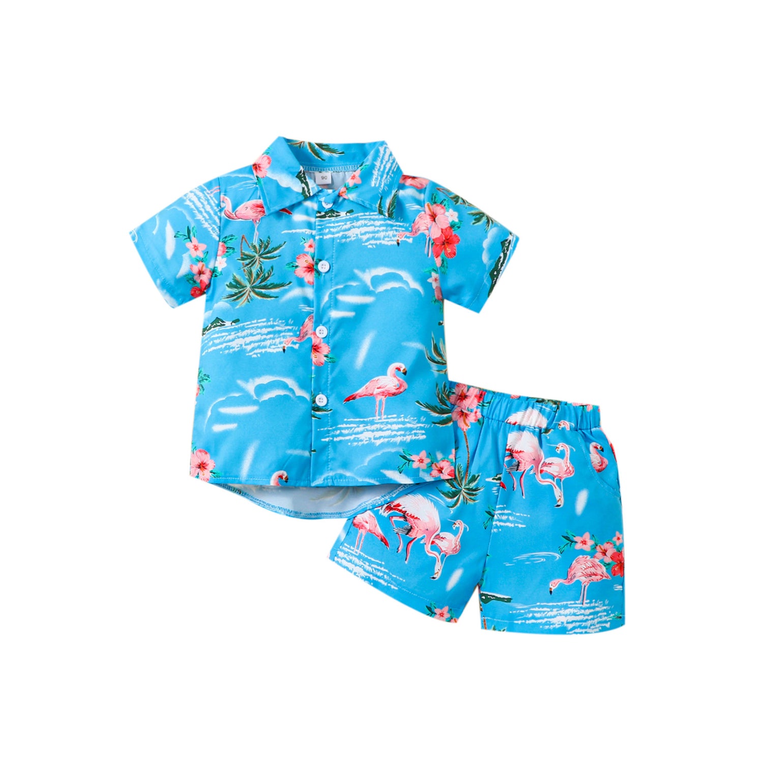 Kids boys Flamingo Short set